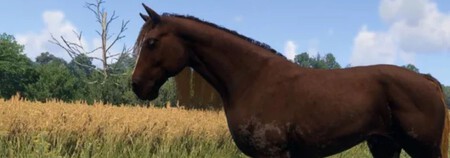 Pradera En Kcd2